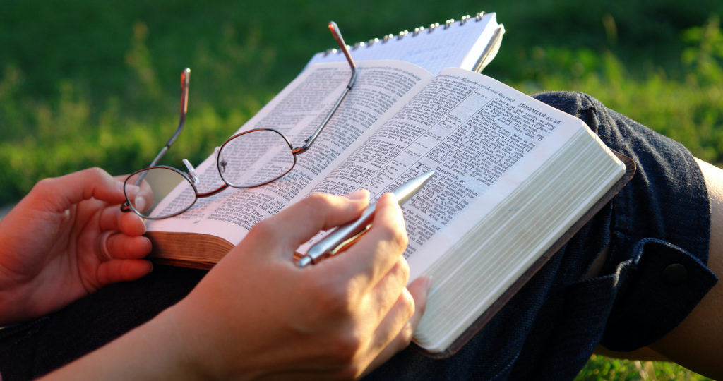 Vanidad estudiara las Escritura