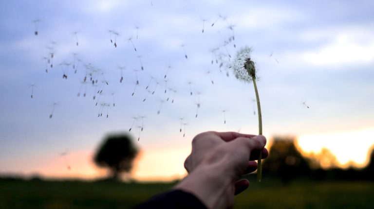 Las Palabras Se Las Lleva El Viento