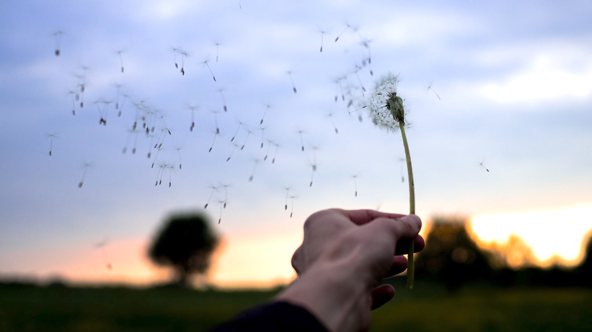 Las Palabras Se Las Lleva El Viento Mimamor Reflexi N Cristiana