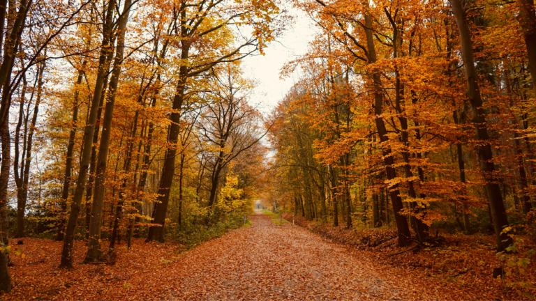 Day 4: Wordly Entertainment