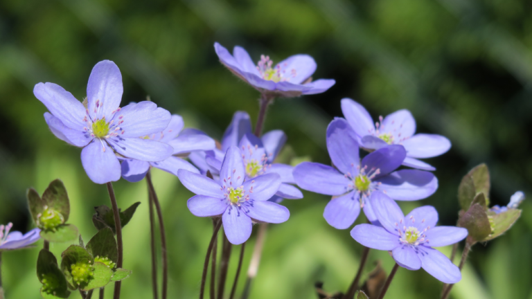 Day 3: Personal Worship