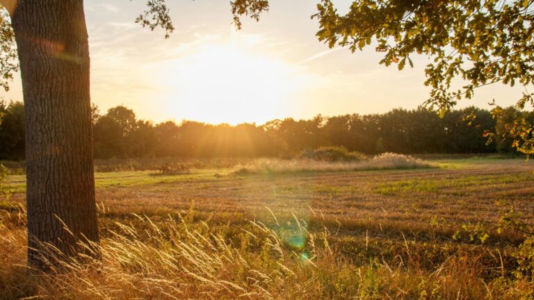 Day 2: Social Media Fasting