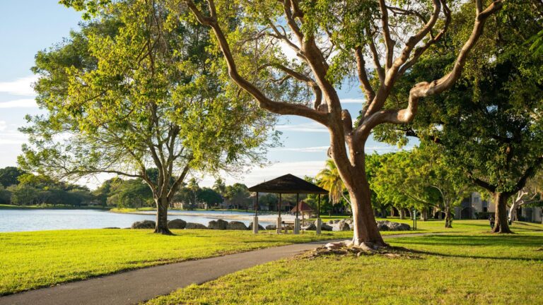 Actitud de Adorador: Más allá de lo que Sentimos