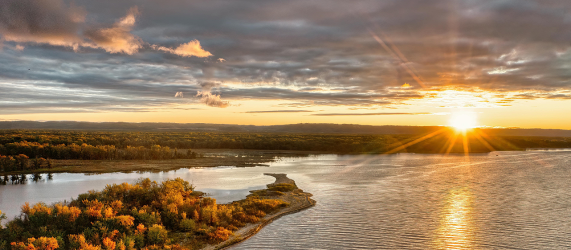 Fondo Virtual para Zoom (16)